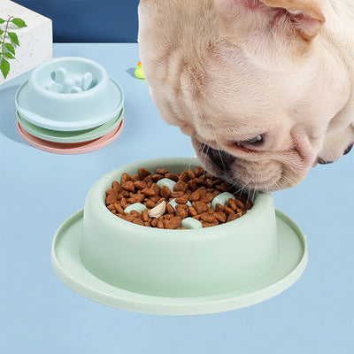 Pet Slow Food Bowl Anti-choking Food Apparatus